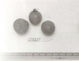 Click for 1 image(s) for this accession. FRUIT